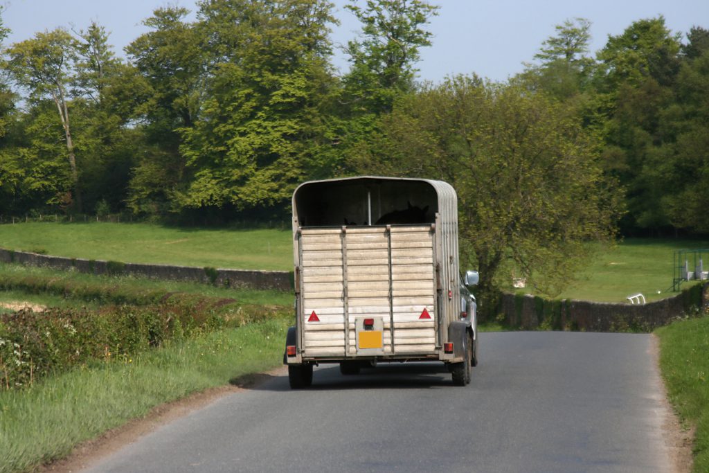 Car and horsebox trailer on the road.