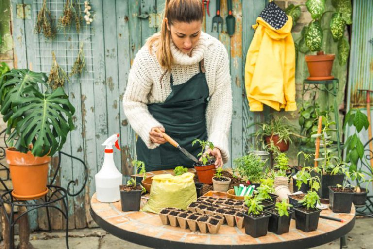 Make the most of your garden this spring - A-Plan Insurance
