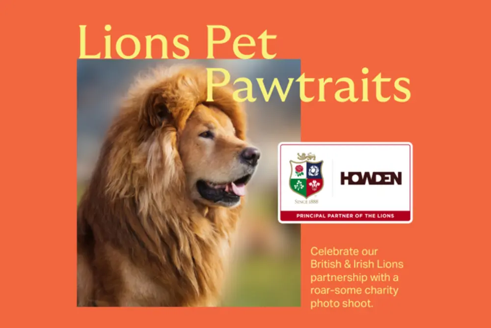 COMING SOON Lions Pet Pawtraits