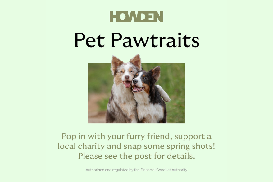 Andover Pet Pawtraits