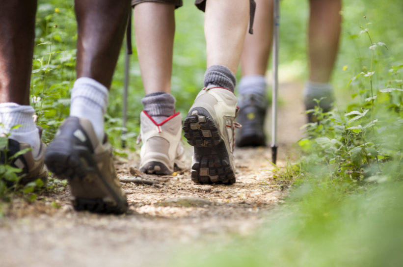 Netwalking Event