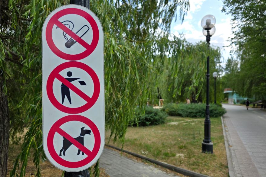 Summer laws you can’t afford to break