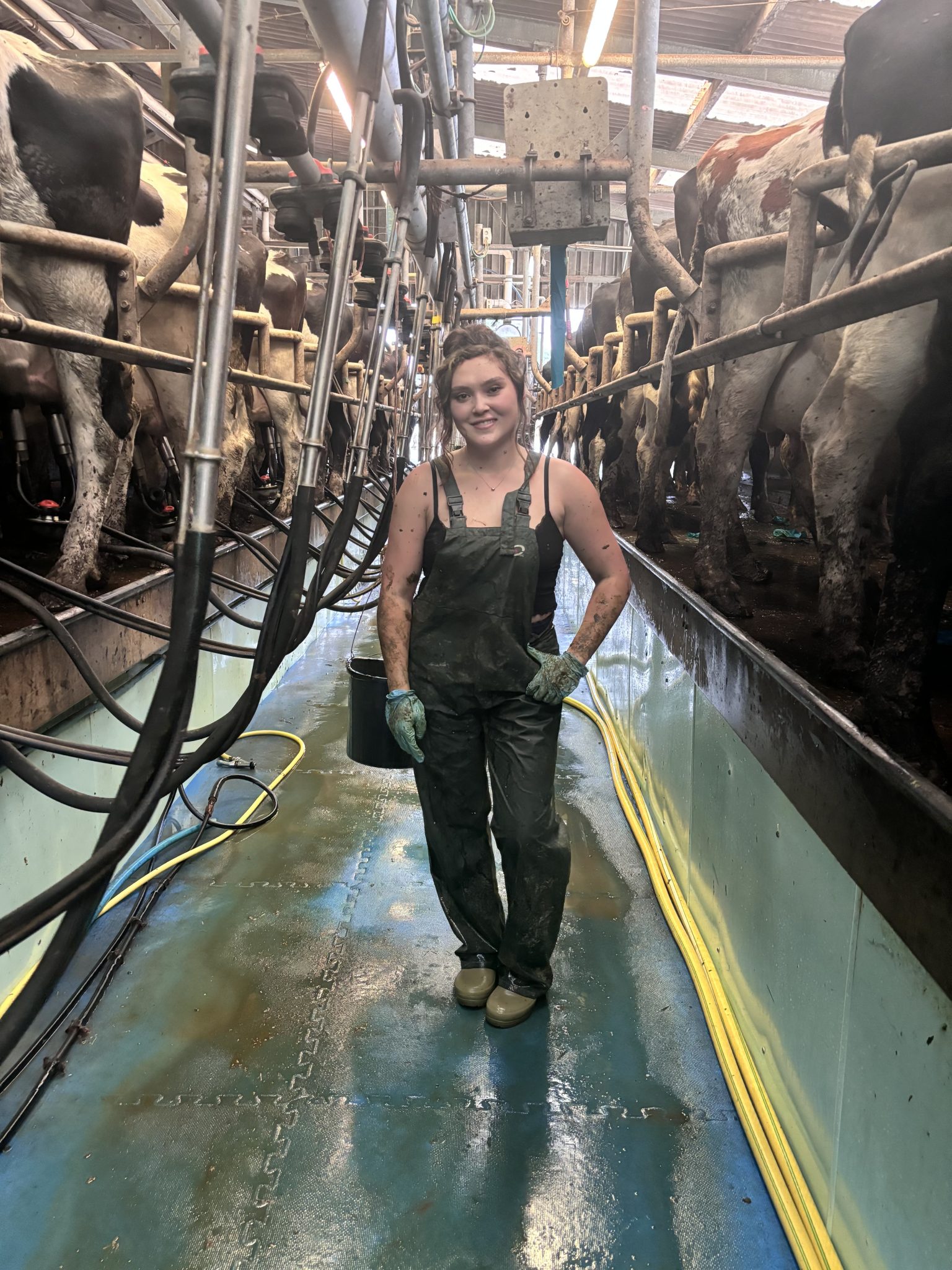 Ann Groat – A Walk in their Wellies blog